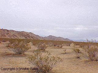 photos of Fairview Dry Lake