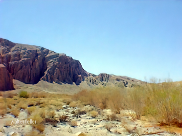 Afton Canyon natural area