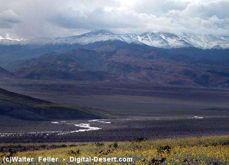 Amargosa River at Westside Road crossing, Death Valley
