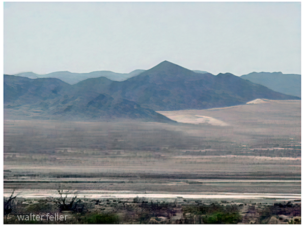 Dale Dry Lake - Mojave Desert