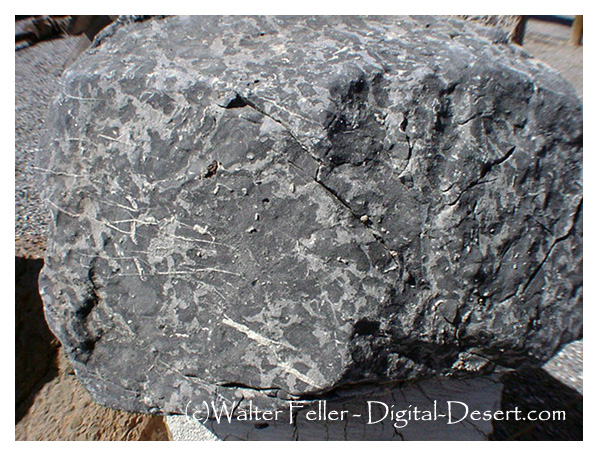 Sample of Bonanza King formation, Death Valley