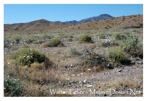 Photo of Jubilee Pass in Death Valley