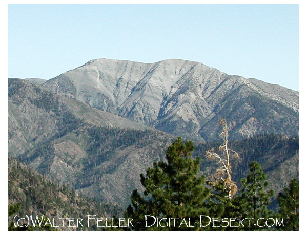 North face of Mt. San Antonio (Mt. Baldy), San Gabriel Mountains