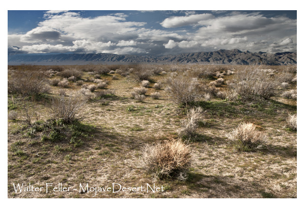 Garlock fault in southern Sierra Nevada
