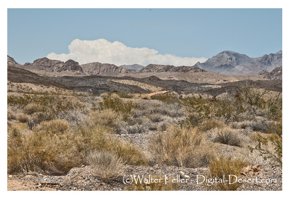 Red, biege and white Navaho sandstone at Lake Mead