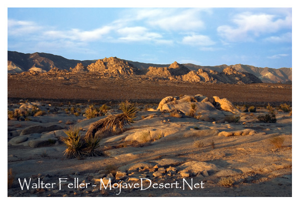 Plutonic rock formations in the Mojave Desert
