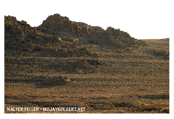Ancient lacustrine shorelines in Trona Pinnales, Lakes Searles