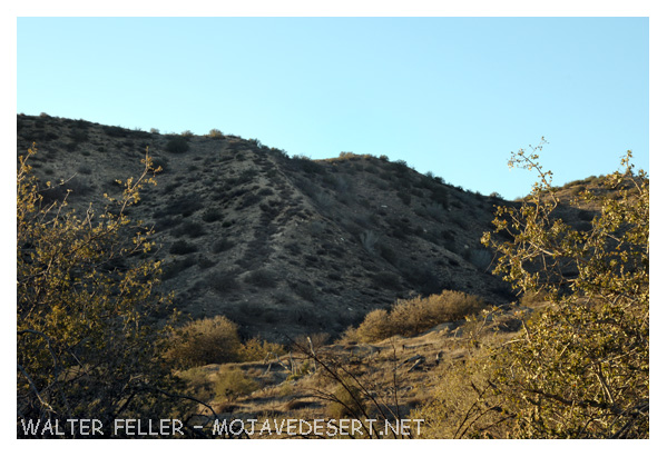 Mormon Wagon Road at Cajon Summit