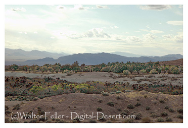 Resting Springs along Old Spanish Trail/Salt Lake Wagon Road