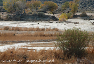 Mojave River at Lane's Crossing