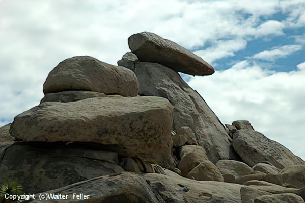 Cap Rock formation, Joshua Tree National Park