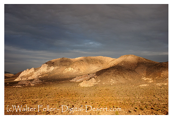 Ryan Mountain Hiking Trail, Joshua Tree