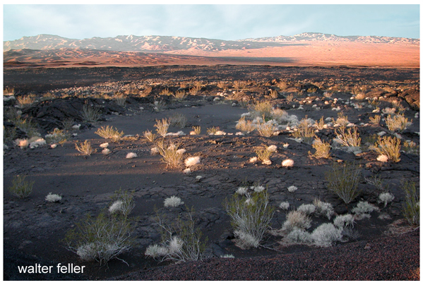 Lavic Lake volcanic field, Pisgah Crater, Mojave Desert