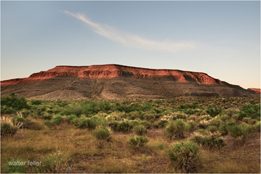 Wild Horse Mesa