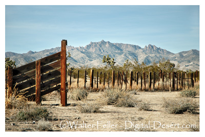 photo of ranch in Lanfair Valley