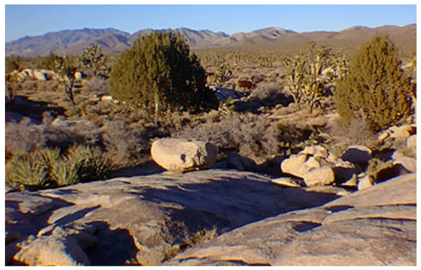 A pediment near Teutonia Peak