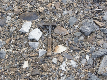 Close-up view of a desert pavement