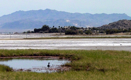 Soda Lake (dry)