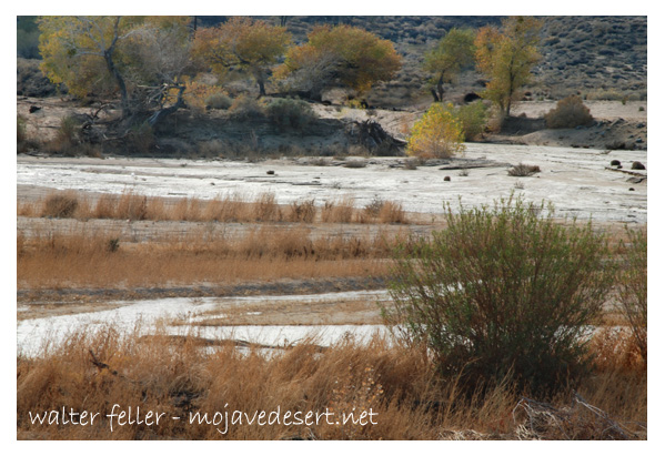 Mojave River Crossing