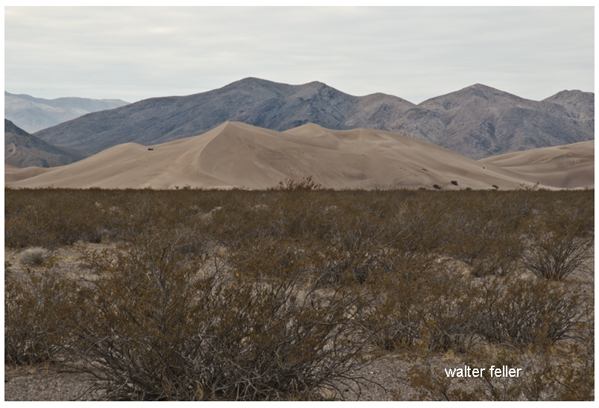 Big Dune ACEC