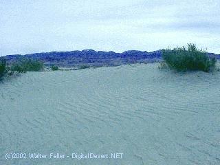 Owens dry lake - Olancha Dunes