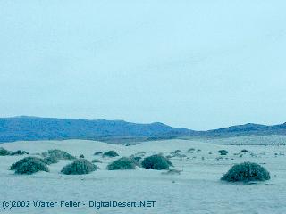 Owens dry lake - Olancha Dunes