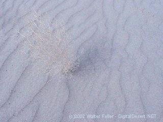 Owens dry lake - Olancha Dunes