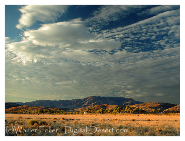 Old Woman Springs Ranch in Lucerne/Johnson Valley on highway 247