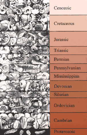 Collage depicting diversity and evolution of life on Earth through the last 600 million years