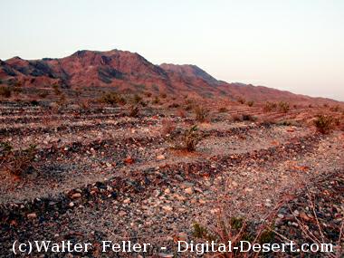 geoglyph photo