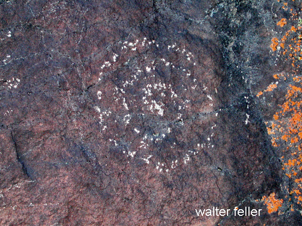 petroglyph photo