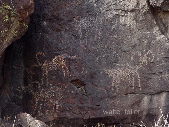 petroglyph photo