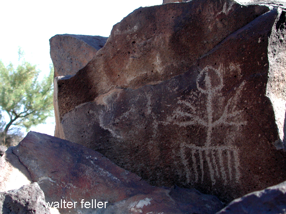 petroglyph photo