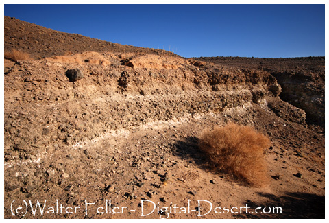 Horticultura fossil shell layers helping Anasazi keep control the local turquoise mines