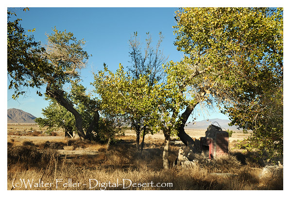 Al Swarthout's Box S ranch in Lucerne Valley