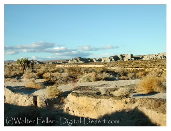 Natural preserves in Red Rock Canyon, CA.