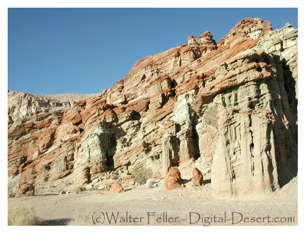 paleontology in red rock canyon state park