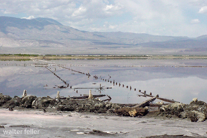 saline valley salt works
