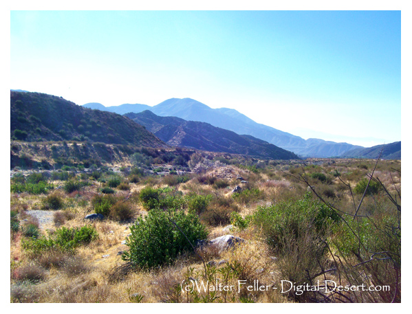 The San Andreas Fault in Lone Pine Canyon in the Cajon Pass