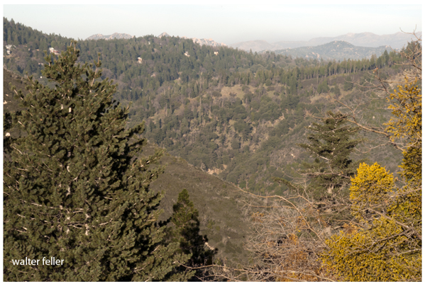 Photo of Sawpit Canyon