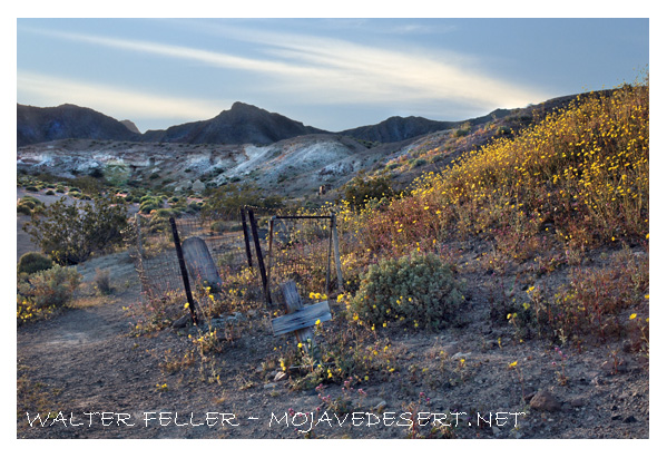 Shoshone cemetery photo gallery