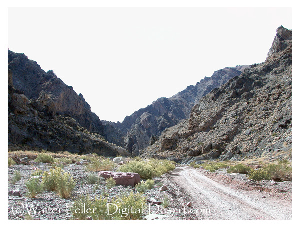 Titus Canyon narrows photo