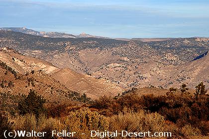 Looking west into the Sierra Nevada from the pass