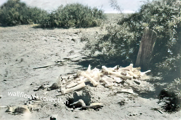 photo of Jim Dayton's grave.