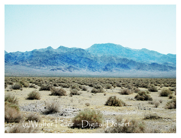 Resting Springs Range Wilderness photo